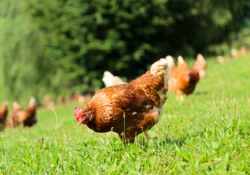 コンセプトイメージ